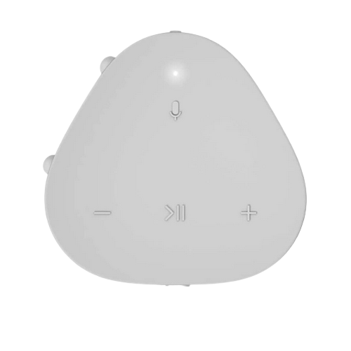 Sonos Roam