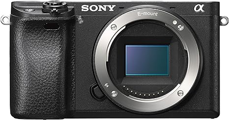 Sony Alpha a6300 Mirrorless Digital Camera with E PZ 16-50mm F3.5-5.6 OSS Power Zoom Lens (Black)